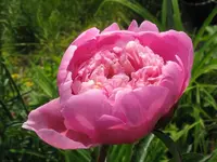 003_1024x768.webp