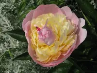 004_1024x768.webp