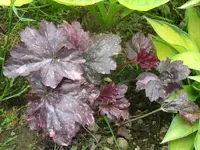 021_1024x768.webp