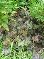 017_576x768.webp