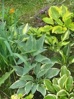012_576x768.webp