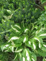 022_576x768.webp