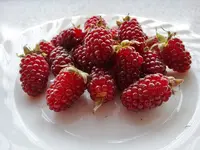 DSC01751.webp
