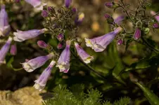 Stg 14-06-01-2470.webp