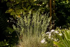 Stg 14-06-01-2473.webp
