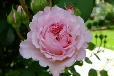 DSCF1753.webp