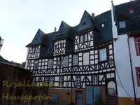 Rhein Wochenende (18).webp