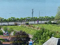 Rhein Wochenende (31).webp
