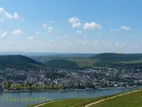 Rhein Wochenende (46).webp