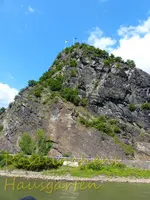 Rhein Wochenende (90).webp