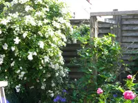 DSCN8408.webp