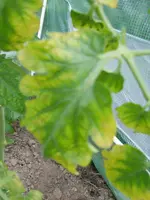 SAM_0048.webp