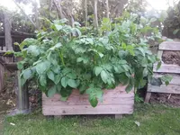 20140601_204826.webp