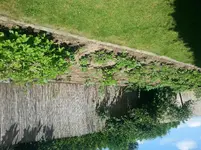 20140601_115949.webp