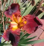 FILE0324A.webp