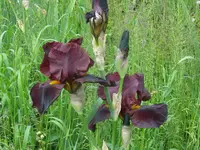 002_1024x768.webp