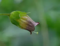 DSC_0066.webp