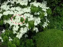 SAM_4295.webp