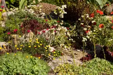 Stg 14-06-03-2494.webp