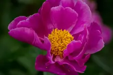 Ga 14-06-03-2514.webp