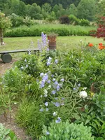 IMG_4932.webp