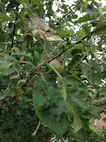 Foto 1.webp