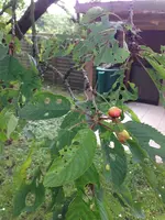 Foto 4.webp
