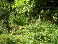 CIMG9550.webp