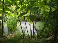 CIMG9565.webp