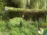 CIMG9566.webp