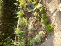 CIMG9683 - Kopie.webp