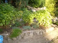 CIMG9684.webp