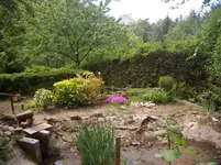 CIMG9771.webp