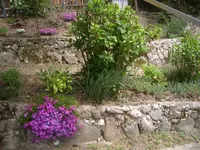 CIMG9775.webp