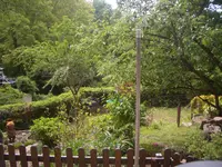 CIMG9784.webp