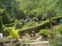 CIMG9785.webp
