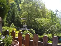 CIMG9798.webp