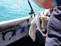 Fishing day 2014 (17)o.webp