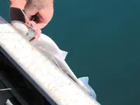 Fishing day 2014 (24)o.webp