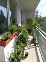 SDC12296.webp