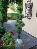 Samenst. d. Globe M..webp