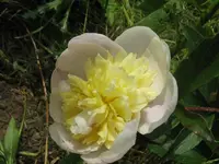 primavera_1024x768.webp