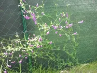 2014-06-04 13.11.16.webp