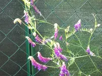 2014-06-04 13.11.25.webp