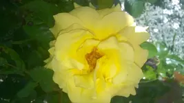 WP_20140530_004.webp
