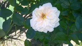 WP_20140530_005.webp