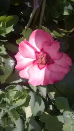 WP_20140530_006.webp