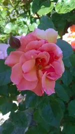 WP_20140604_002.webp