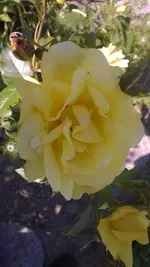WP_20140604_003.webp