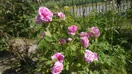 WP_20140604_006.webp